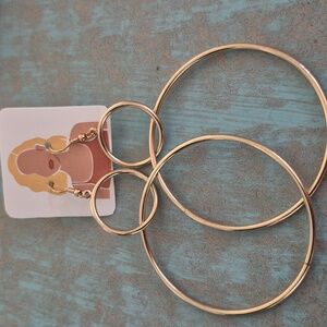 Elegant Gold Hoop Earrings